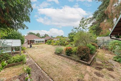 Blackmoor Wood, Ascot, Berkshire, SL5 8EL